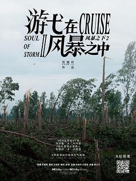 游弋在風(fēng)暴之中